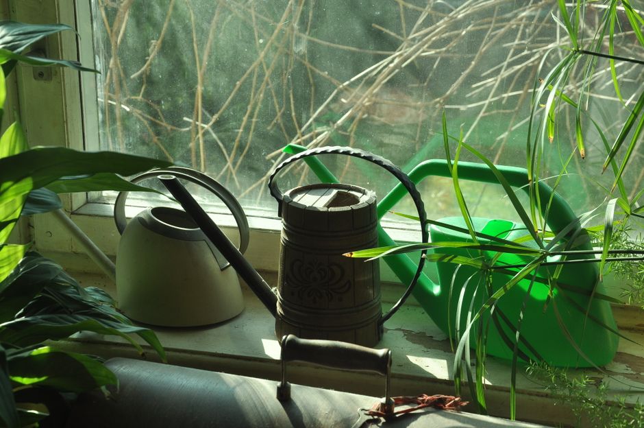 What Is a Net Zero Home and How to Achieve It