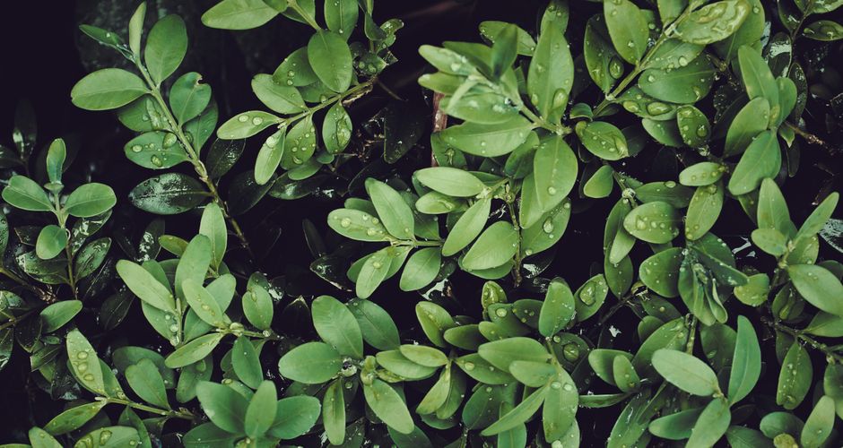 How to Reduce Water Use at Home