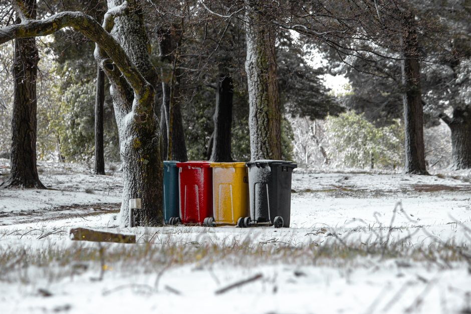 Best Energy-Efficient Garden Tools