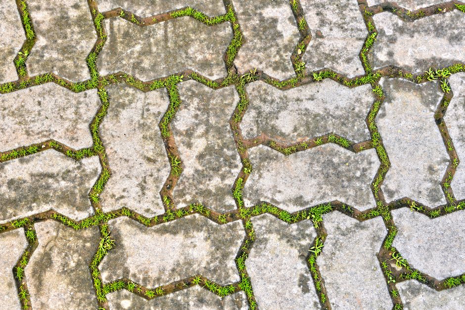 How to Plan a Sustainable Self-Build Project