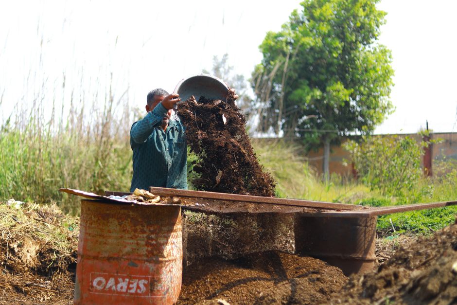 Best Compost Bins for Small Gardens