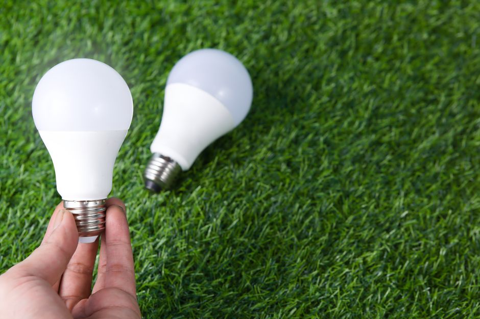 How to Switch to a Renewable Energy Supplier
