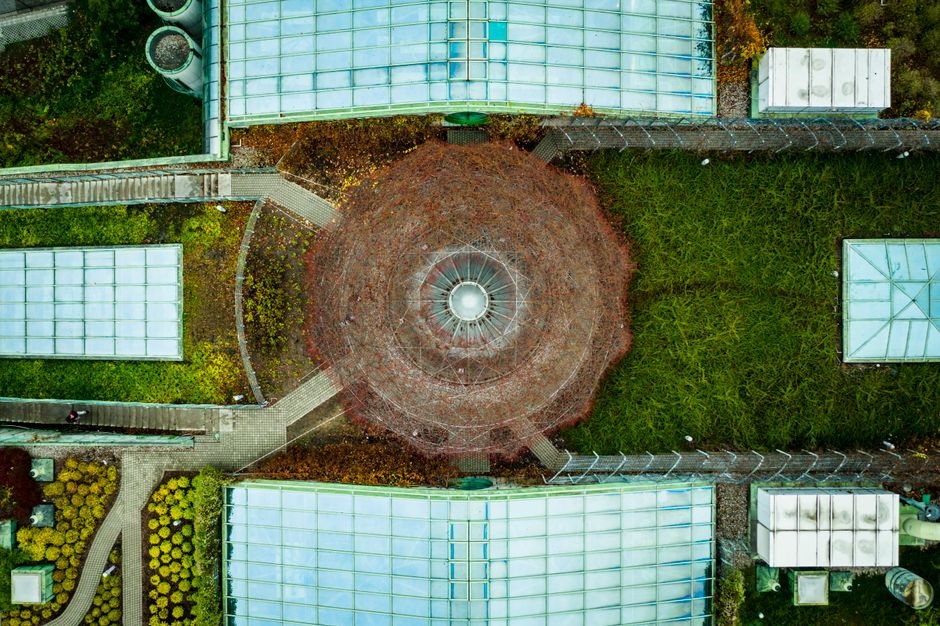 How to Build a Green Roof on a Garden Shed